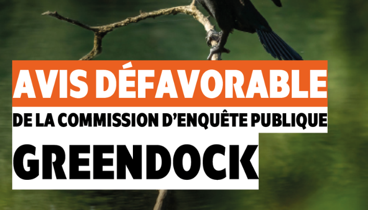 Coup de frein pour Greendock !